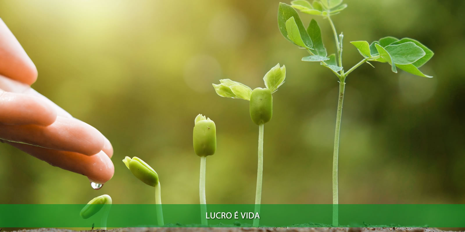 Figura 4 - LUCRO E RECEITA. AS DIFERENÇAS FUNDAMENTAIS ENTRE OS ATIVOS DE SUA EMPRESA